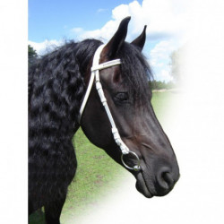 QHP Show Bridle Luxury