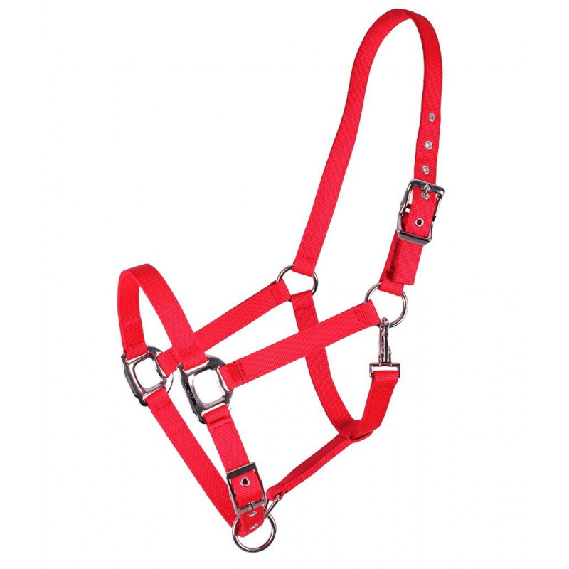 QHP Halter Amos