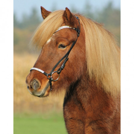 QHP Icelandic Bridle "Bling"