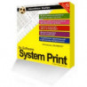 System Print