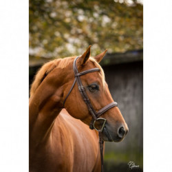 Hunter Organic Tanned Bridle