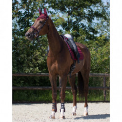 QHP Saddle pad Florence Allround