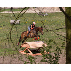 QHP Sport shirt Vegas