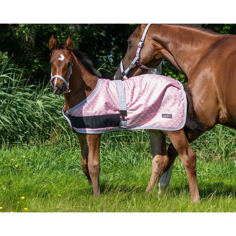 QHP Foal Rug Turnout Collection