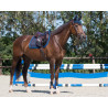 QHP Saddle pad Florence Koulu