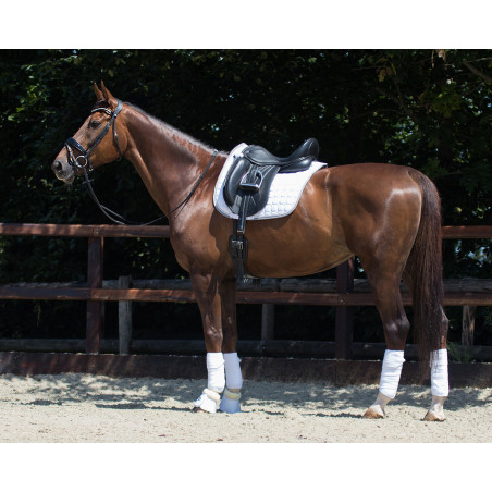 QHP Saddle pad Florence Dressyr