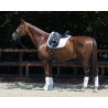 QHP Saddle pad Florence Dressyr