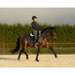 QHP Saddle pad Florence Allround