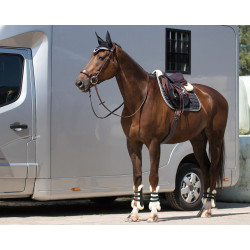 QHP Saddle pad Florence Allround