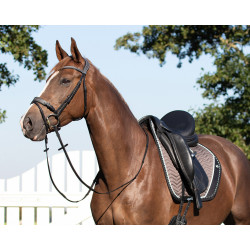 QHP Saddle pad Shiva Allround