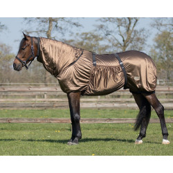 QHP Insect Rug Zebra Brown
