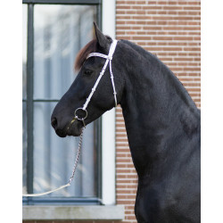 QHP Show Bridle Luxe