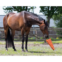 QHP Horse toy Carrot XL