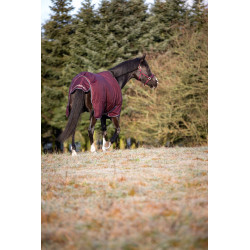 HG Landon 1200D Turnout Rug Standard Neck