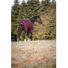 HG Landon 1200D Turnout Rug Standard Neck