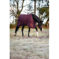 HG Landon 1200D Turnout Rug Standard Neck