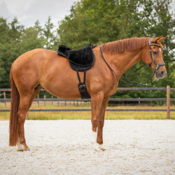 QHP Bareback pad super soft