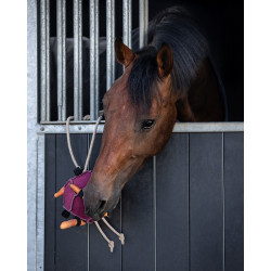 QHP Horse toy ball