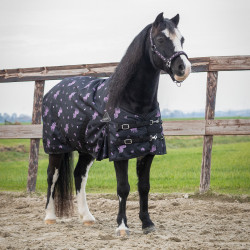 QHP Turnout rug Lize 100gr
