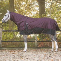 QHP Turnout rug 1200D...