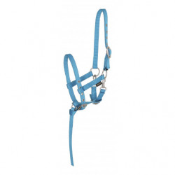 Horse Guard Foal Halter