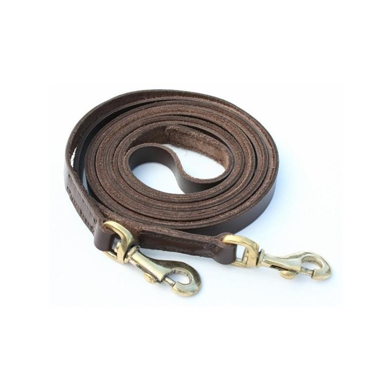 Reins with hook 14 mm