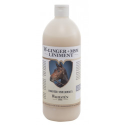 W-Ginger + MSM Liniment