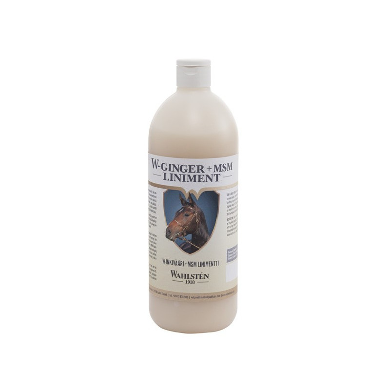 W-Ginger + MSM Liniment