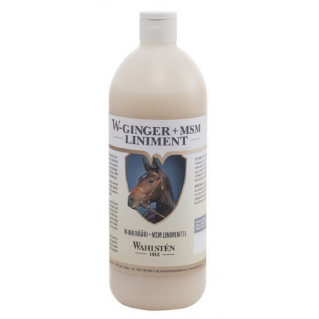 W-Ginger + MSM Liniment